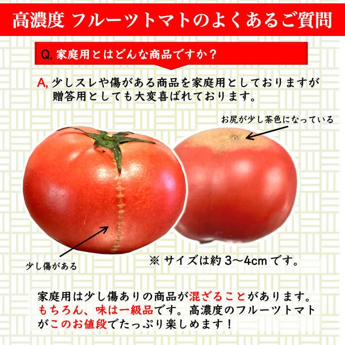 高知県春野産 高濃度 フルーツトマト 約2kg クール便 家庭用 高糖度 お取り寄せ 収穫当日発送 100日トマト 送料無料 土佐カツオとうなぎ通販 池澤鮮魚 通販 Yahoo ショッピング