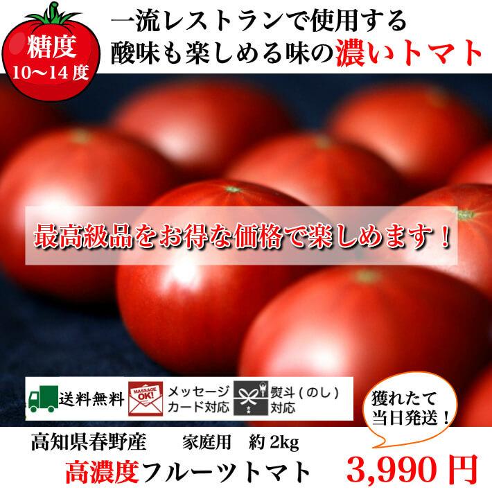 高知県春野産 高濃度 フルーツトマト 約2kg クール便 家庭用 高糖度 お取り寄せ 収穫当日発送 100日トマト 送料無料 土佐カツオとうなぎ通販 池澤鮮魚 通販 Yahoo ショッピング