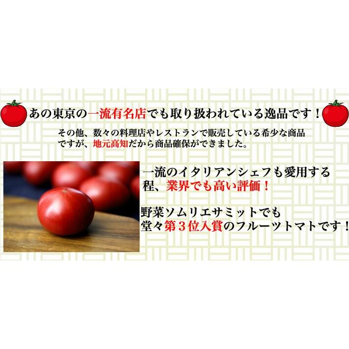 高知県春野産 高濃度 フルーツトマト 約2kg クール便 家庭用 高糖度 お取り寄せ 収穫当日発送 100日トマト 送料無料 土佐カツオとうなぎ通販 池澤鮮魚 通販 Yahoo ショッピング