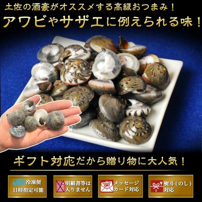 正規品スーパーSALE×店内全品キャンペーン天然 ナガラミ (マイゴ) 500g 砂抜 ギフト 幻の貝 九十九里浜産 誕生日 貝類 千葉県産 天然ながらみ(ボイル済) 1袋