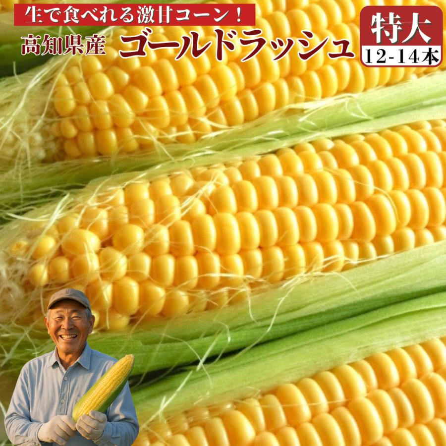 糖度18度 ゴールドラッシュ 生とうもろこし A等級 約4,5kg (11-15本) 2L :10000121:土佐カツオとうなぎ通販 池澤鮮魚 - 通販 - Yahoo!ショッピング 糖度18度 ゴールドラッシュ 生とうもろこし A等級 約4,5kg (11-15本) 2L :10000121:土佐カツオとうなぎ通販 池澤鮮魚 - 通販 - Yahoo!ショッピング