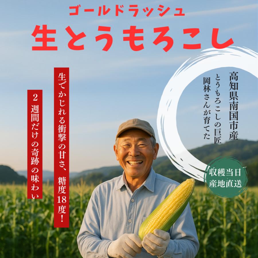 糖度18度 ゴールドラッシュ 生とうもろこし A等級 約4,5kg (11-15本
