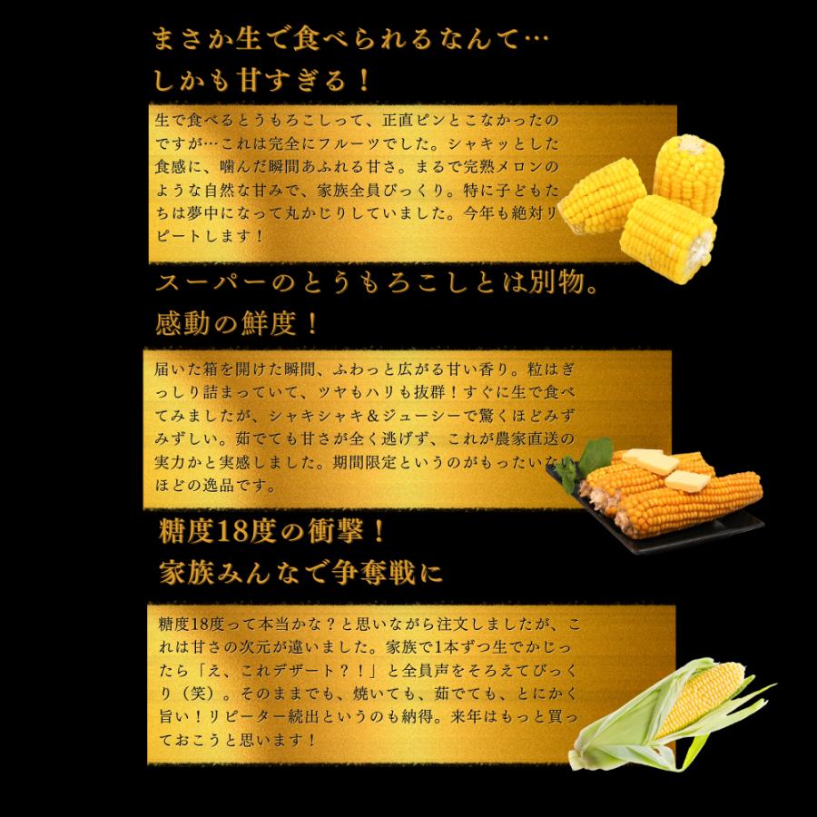 糖度18度 ゴールドラッシュ 生とうもろこし A等級 約4,5kg (11-15本