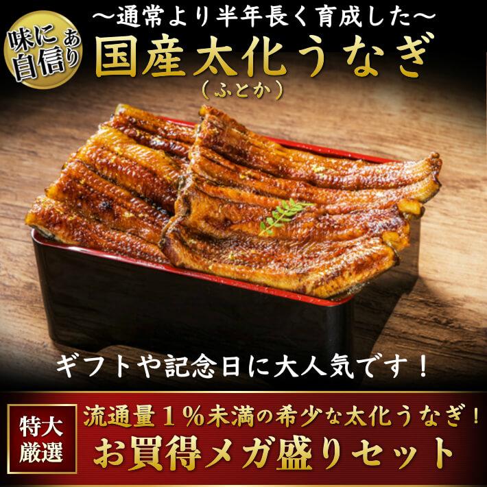 国産 蒲焼き 特大うなぎ メガ盛り 1/3カット 約1,2kg 10人前以上｜marin-online｜15