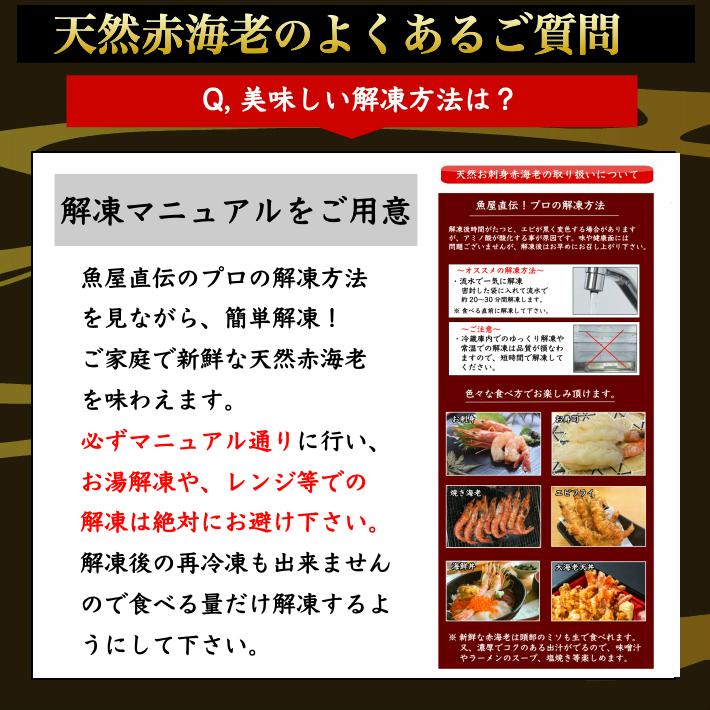 赤海老 天然 刺身 赤エビ 超特大2kg(30-36尾) 生食用 小分け｜marin-online｜14