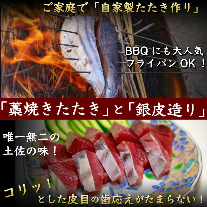 皮付き とろカツオの刺身 さしみ 1節 約3人前 脂かつお 銀皮造り q たたき作り 誕生日 トロ鰹 冷凍便 送料無料 ギフト 海鮮 贈答 土佐カツオとうなぎ通販 池澤鮮魚 通販 Yahoo ショッピング