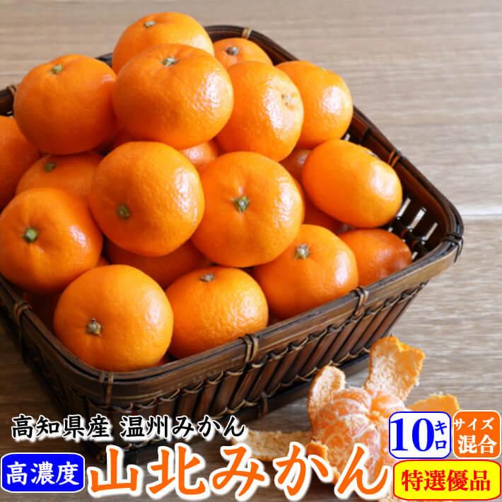 山北みかん 減農薬 優品 約10kg 生産者限定 温州みかん お歳暮 高知県 