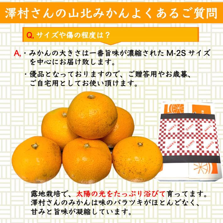 山北みかん 減農薬 優品 約10kg 生産者限定 温州みかん お歳暮