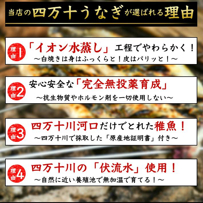 四万十 うなぎ 蒲焼き 国産 2尾 無投薬 四万十川 誕生日 ギフト 高知県産 :10000165:土佐カツオとうなぎ通販 池澤鮮魚 - 通販 - Yahoo!ショッピング 四万十 うなぎ 蒲焼き 国産 2尾 無投薬 四万十川 誕生日 ギフト 高知県産 :10000165:土佐カツオとうなぎ通販 池澤鮮魚 - 通販 - Yahoo!ショッピング
