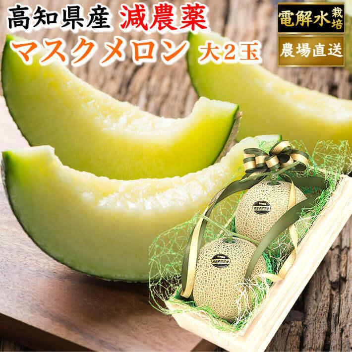 1円～ 高知県産 マスクメロン 6玉入り 約10㎏(下箱込み)