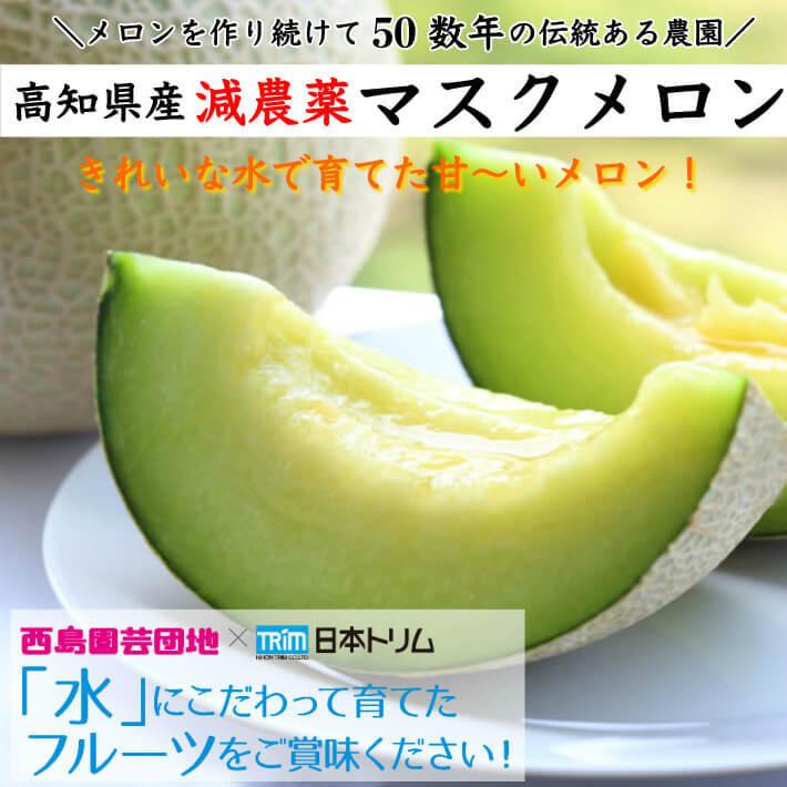 高知県産 高級マスクメロン 大玉(約1,5kg×2) 家庭用 フルーツ