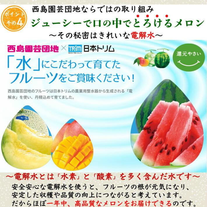 高知県産 高級マスクメロン 大玉(約1,5kg×2) 家庭用 フルーツ