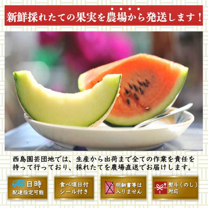 高知県産 高級マスクメロン 大玉(約1,5kg×2) 家庭用 フルーツ