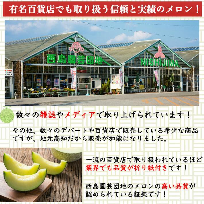 高知県産 高級マスクメロン 大玉 約1 5ｋｇ ２ お取り寄せ 母の日 送料無料 ご家庭用 高級 果物 フルーツ ギフト 正規逆輸入品
