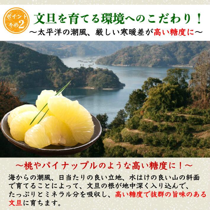 【無農薬】土佐文旦　露地栽培30kg 楽天市場】土佐 文旦 無農薬の通販