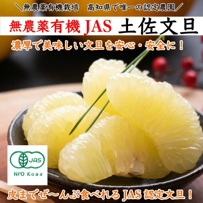 ゆうさま専用1000g　(国産・高品質)乾燥パパイヤの皮の乾燥（無農薬・有機肥料 無農薬 有機JAS認定 土佐文旦 有機栽培 家庭用 5kg 高知県産 2L-L 混合
