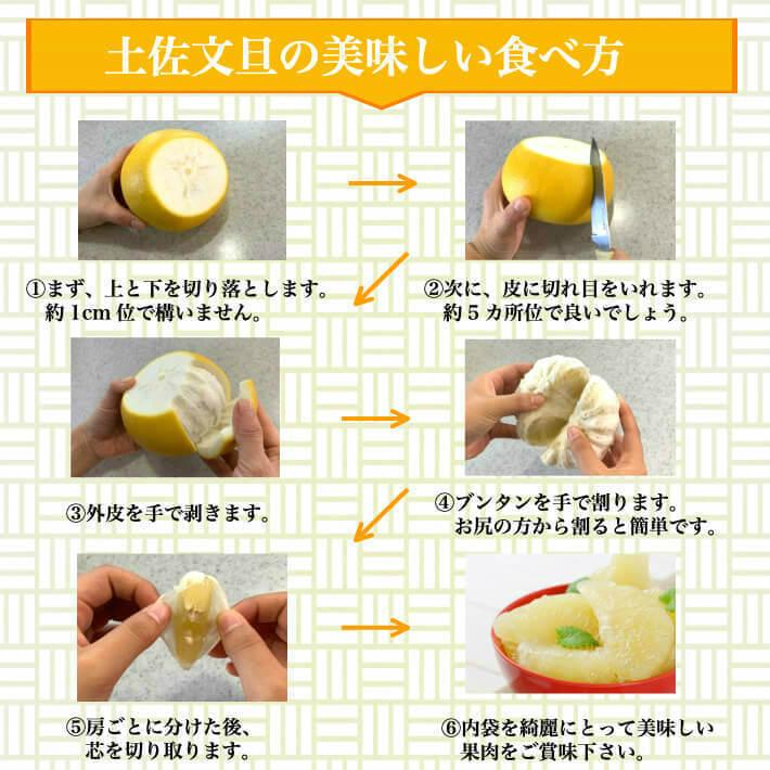 無農薬 有機JAS認定 土佐文旦 有機栽培 家庭用 5kg 高知県産 2L-L 混合