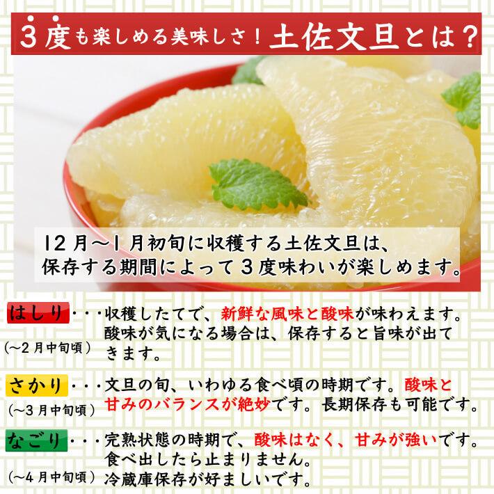 無農薬 有機JAS認定 土佐文旦 有機栽培 家庭用 5kg 高知県産 2L-L 混合