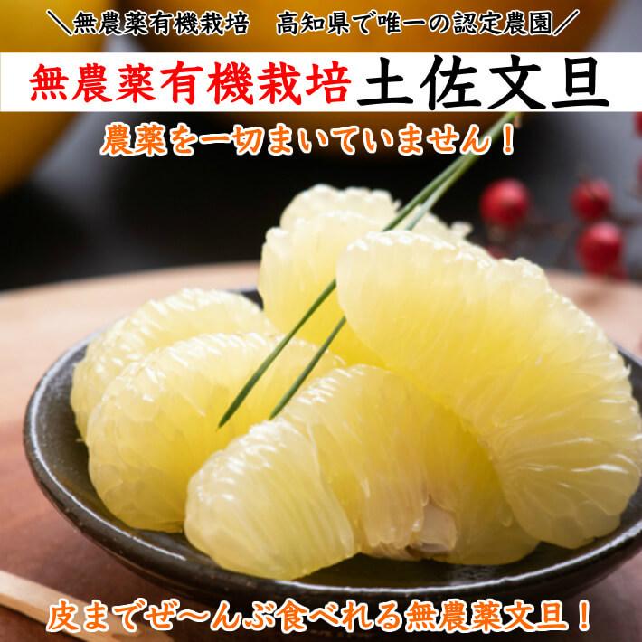 無農薬 土佐文旦 有機肥料 家庭用 3kg 高知県産 2L-L 混合 糖度 無農薬 土佐文旦 有機肥料 家庭用 3kg 高知県産 2L-L 混合 糖度