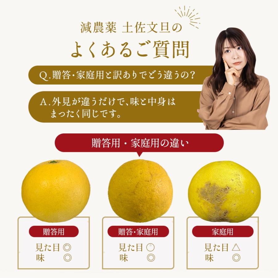 文旦　20kg 12 高知県産 四万十文旦 家庭用Lサイズ 約5kg（12～13玉入