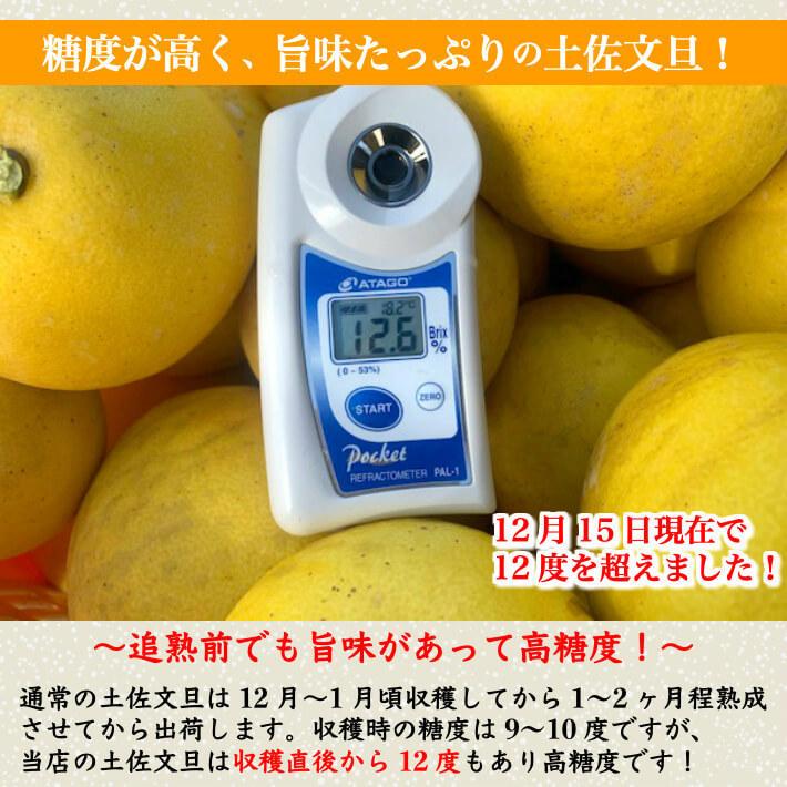 高知県産 土佐文旦 減農薬 約10kg 贈答用 特大4L-2L(11-16玉 高知県産 土佐文旦 減農薬 約10kg 贈答用 特大4L-2L(11-16玉