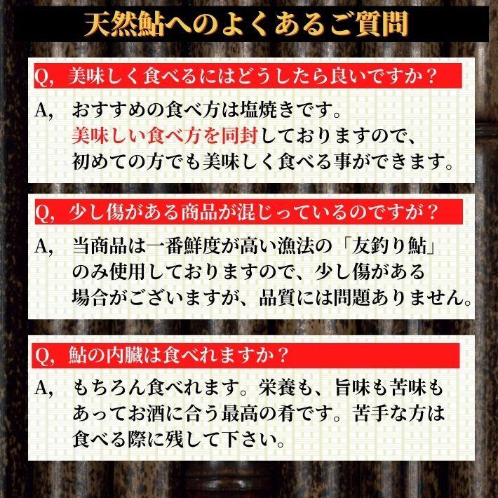 仁淀川 極上 天然鮎 500g 友釣り鮎 高知県産 送料無料 ギフト 贈答用 5 大好評