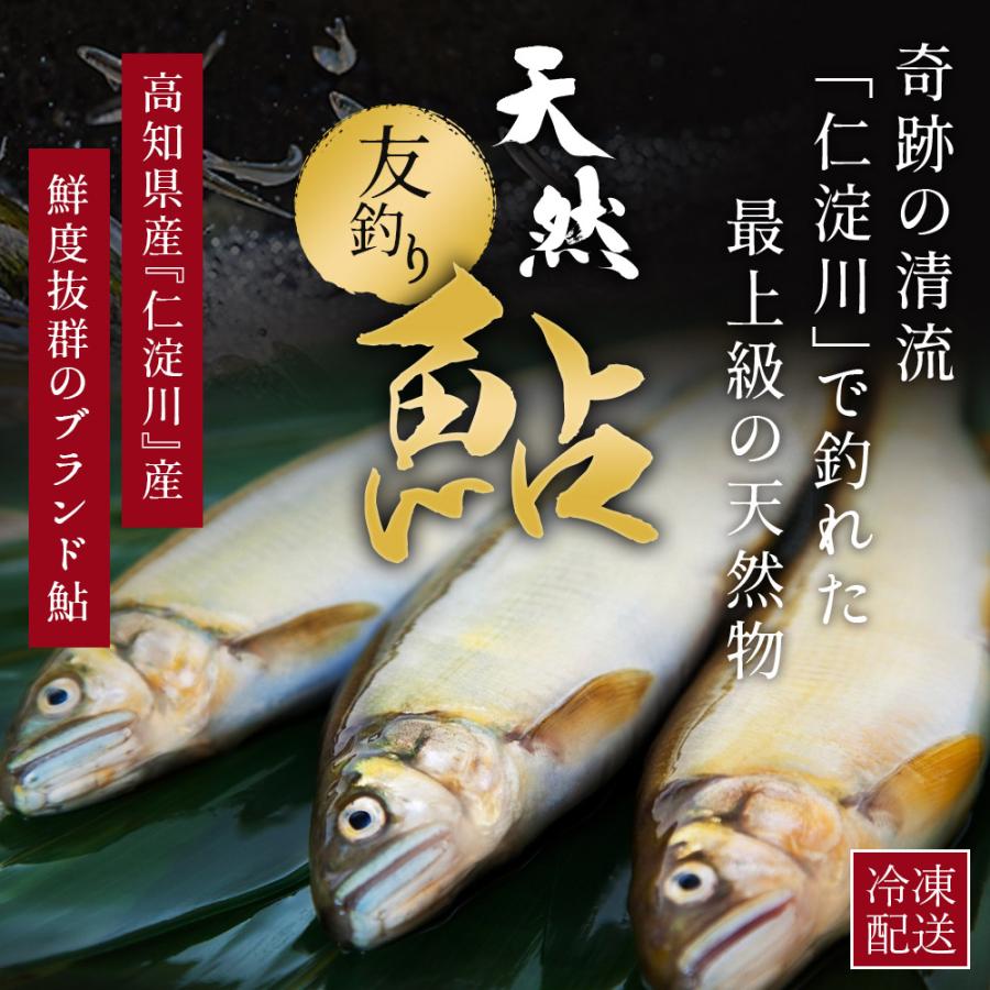 天然鮎 鮎 仁淀川 1kg 極上 友釣り鮎 高知県産 プレゼント ギフト