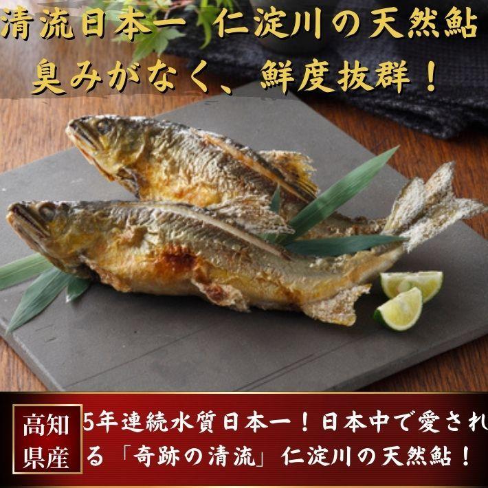 天然鮎 鮎 仁淀川 2kg 極上 友釣り鮎 高知県産 ギフト 贈答用 送料無料｜marin-online｜02