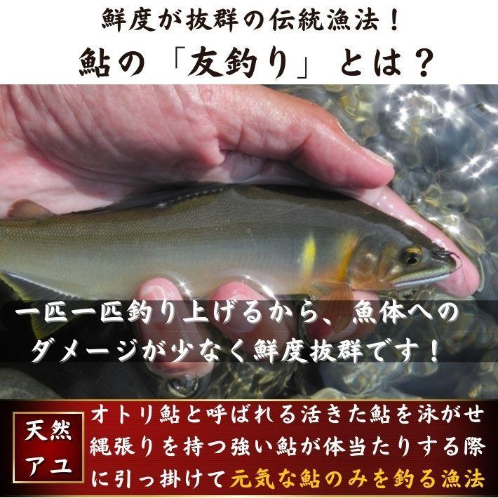 天然鮎 鮎 仁淀川 2kg 極上 友釣り鮎 高知県産 ギフト 贈答用 送料無料｜marin-online｜04