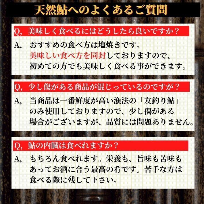 特大鮎 仁淀川 極上 天然鮎 500g (4-5尾）友釣り鮎 高知県産 ギフト｜marin-online｜15