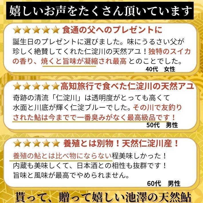 特大鮎 仁淀川 極上 天然鮎 500g (4-5尾）友釣り鮎 高知県産 ギフト｜marin-online｜06