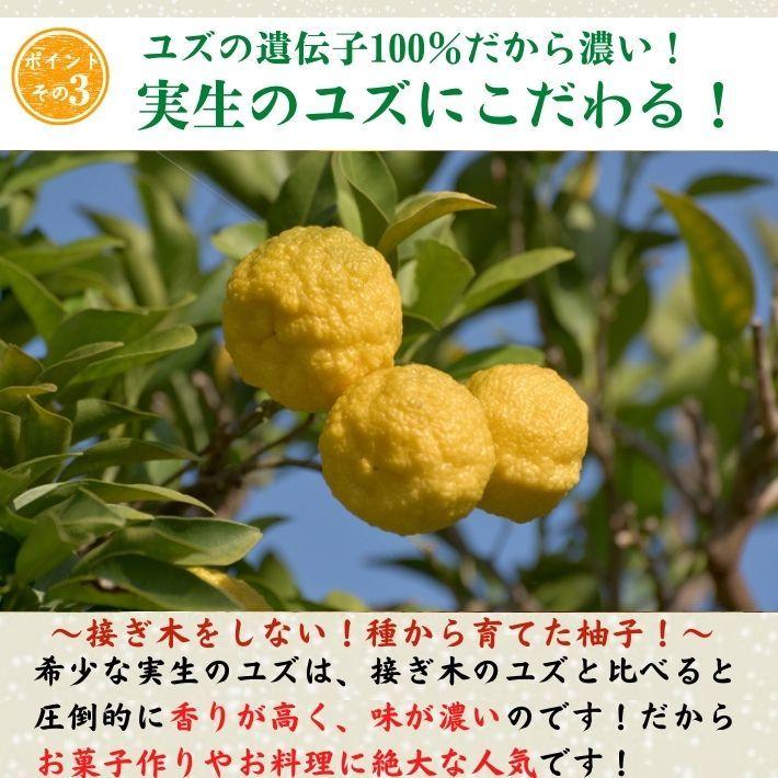 農薬を使用しない 実生 ゆず 有機栽培 無農薬 柚子 1kg 傷有 農薬を使用しない 実生 ゆず 有機栽培 無農薬 柚子 1kg 傷有