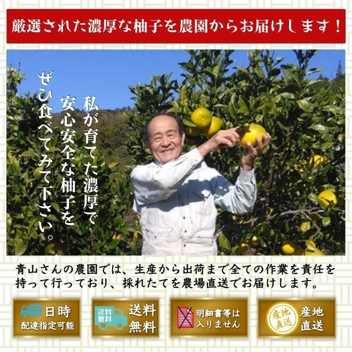 農薬を使用しない 実生 ゆず 有機栽培 無農薬 柚子 1kg 傷有 農薬を使用しない 実生 ゆず 有機栽培 無農薬 柚子 1kg 傷有
