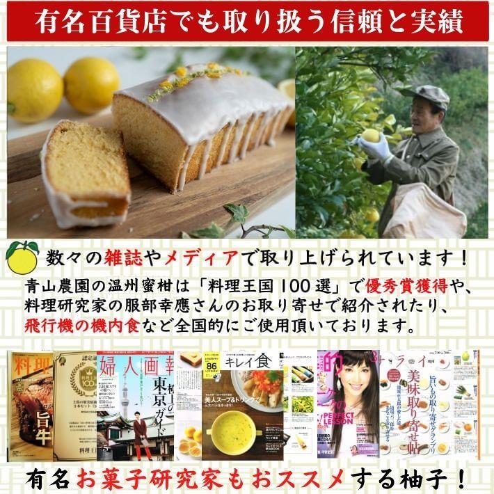 農薬を使用しない 実生 ゆず 有機栽培 無農薬 柚子 1kg 傷有 農薬を使用しない 実生 ゆず 有機栽培 無農薬 柚子 1kg 傷有