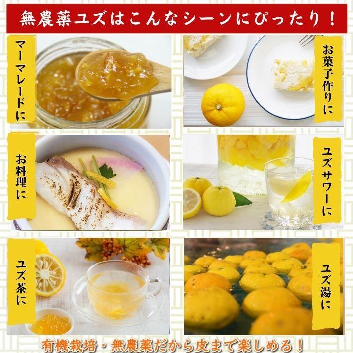 農薬を使用しない 実生 ゆず 有機栽培 無農薬 柚子 1kg 傷有 農薬を使用しない 実生 ゆず 有機栽培 無農薬 柚子 1kg 傷有