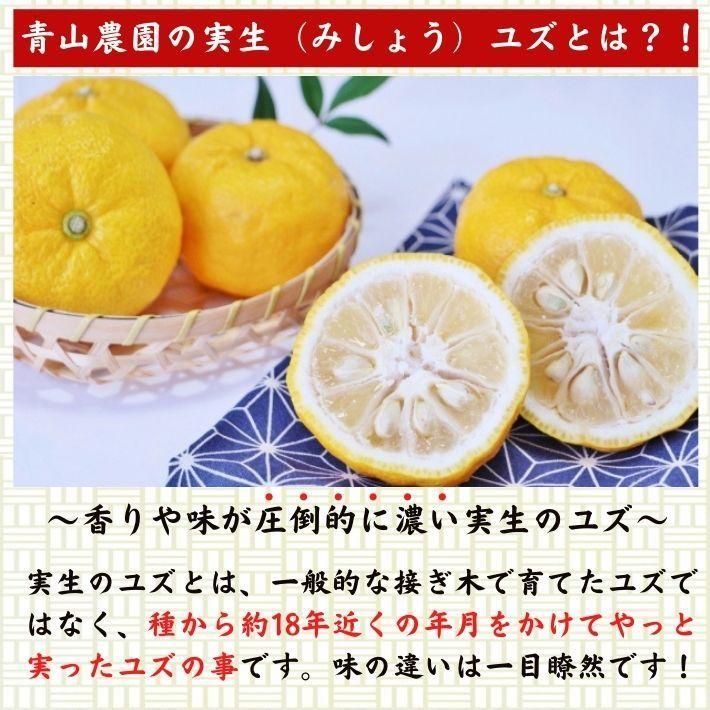 農薬を使用しない 実生 ゆず 有機栽培 無農薬 柚子 2kg 傷有 農薬を使用しない 実生 ゆず 有機栽培 無農薬 柚子 2kg 傷有