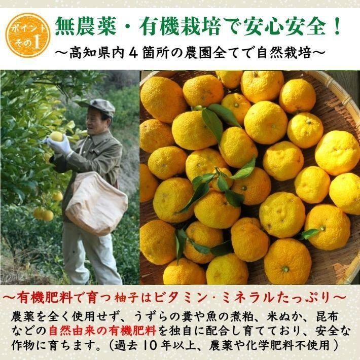 農薬を使用しない 実生 ゆず 有機栽培 無農薬 柚子 2kg 傷有 農薬を使用しない 実生 ゆず 有機栽培 無農薬 柚子 2kg 傷有