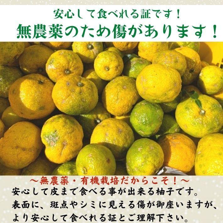 農薬を使用しない 実生 ゆず 有機栽培 無農薬 柚子 5kg 傷有 高知県産 