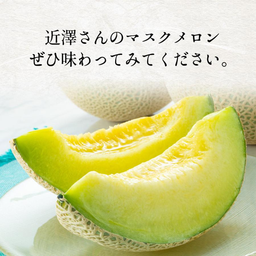 6月中旬発送予約】 メロン マスクメロン 高知県産 近澤さんのとろける