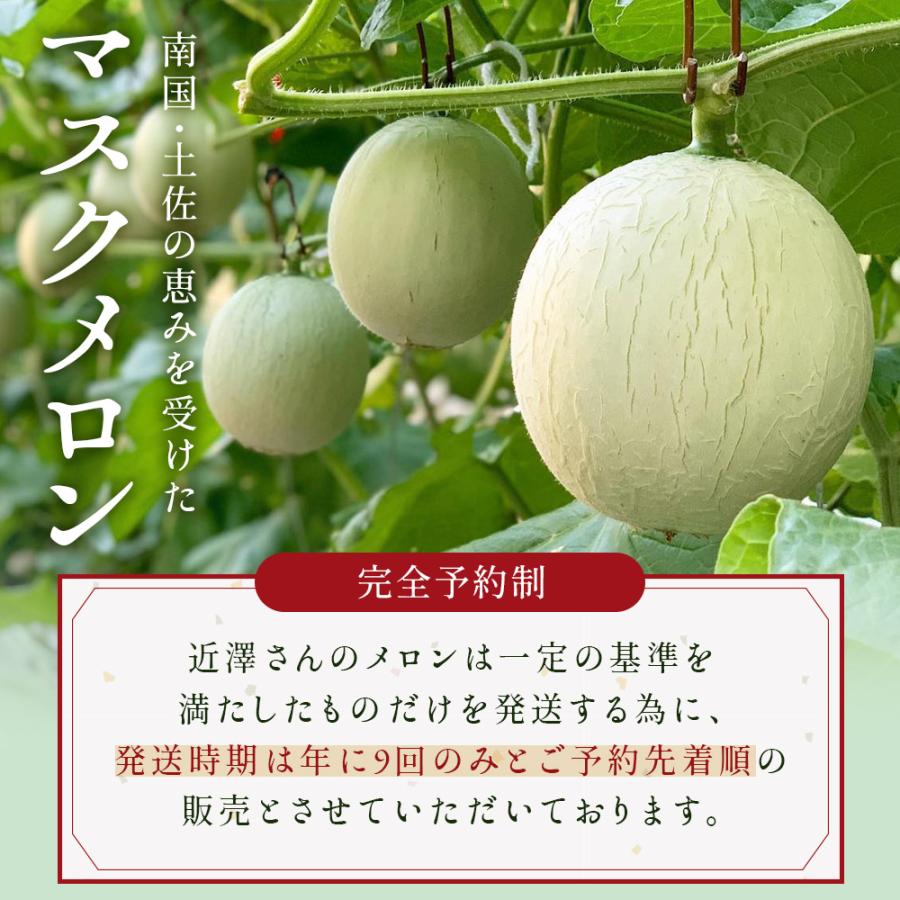 6月中旬発送予約】 メロン マスクメロン 高知県産 近澤さんのとろける