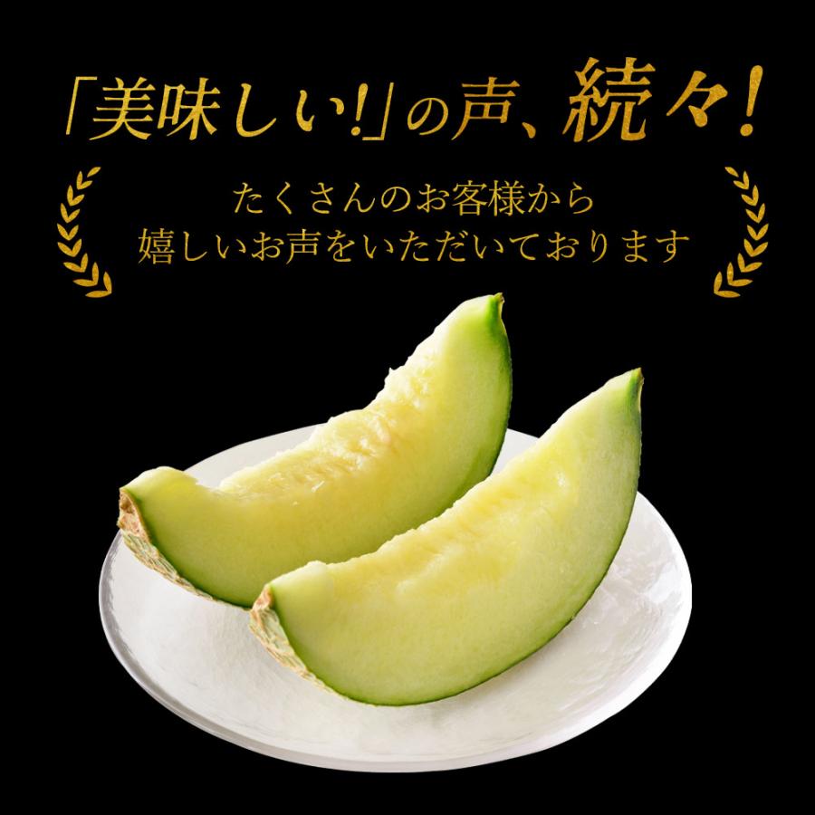 6月中旬発送予約】 メロン マスクメロン 高知県産 近澤さんのとろける