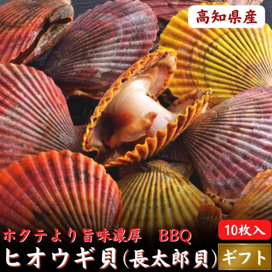 ホタテより濃厚 高知県産 ヒオウギ貝 長太郎貝 10枚 q 海鮮 誕生日 ギフト 土佐カツオとうなぎ通販 池澤鮮魚 通販 Yahoo ショッピング