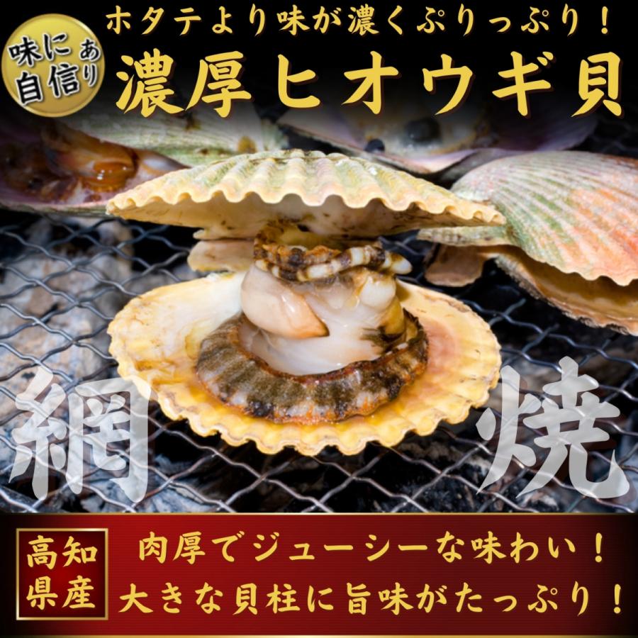 ホタテより濃厚 高知県産 ヒオウギ貝 (長太郎貝) 10枚 BBQ 海鮮 誕生日 ギフト｜marin-online｜02