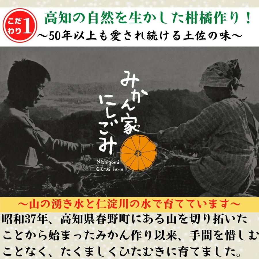 土佐小夏 減農薬 石灰質の土壌で育てた小夏 5kg 高知県産 日向夏 贈答