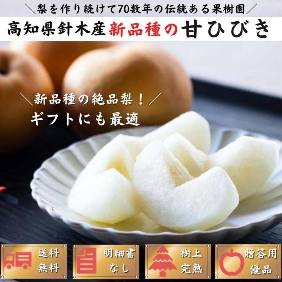 ⚠️ Rosegarden様専用⚠️茨城県産 梨 甘ひびき/秀品 10キロ