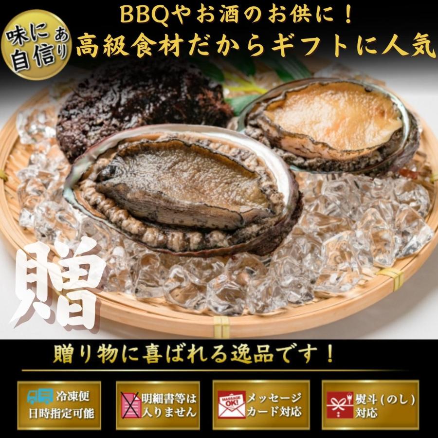 お刺身 蝦夷あわび アワビ たっぷり1ｋｇ（約30個入）活冷凍 あわび 海鮮 BBQ｜marin-online｜12