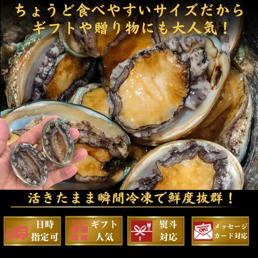 お刺身 蝦夷あわび アワビ たっぷり1ｋｇ（約30個入）活冷凍 あわび 海鮮 BBQ｜marin-online｜03