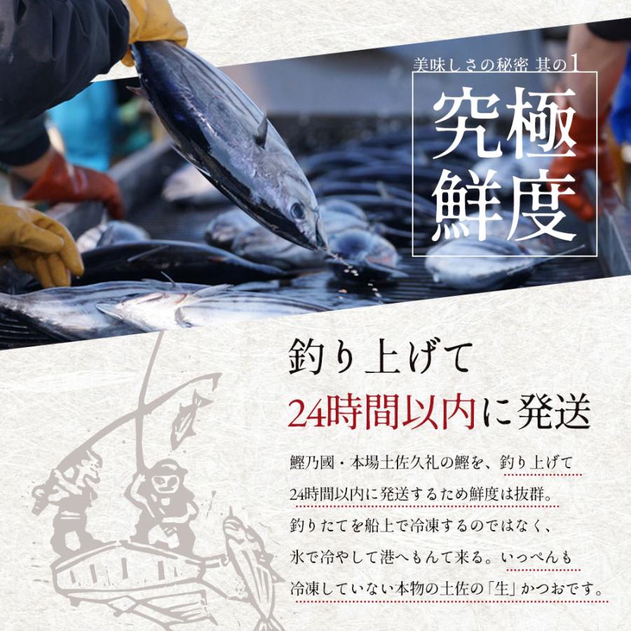 えなりかつお 冷凍していない生鰹 土佐沖 日戻り 完全藁焼き生鰹たたき 1500g