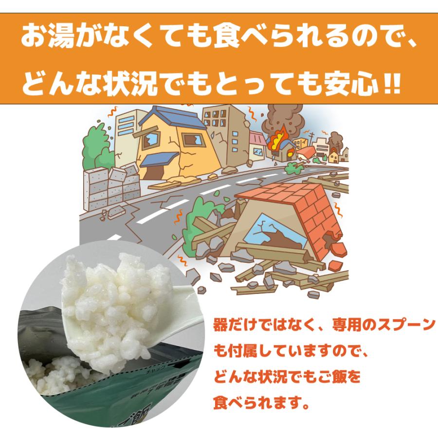 フリーズドライ ご飯 30個セット 大盛り できあがり230g 7年 保存