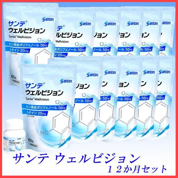 サンテ ウェルビジョン　１２ヵ月セット　参天製薬